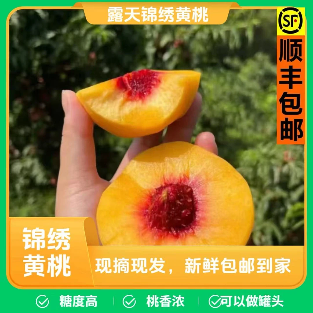 【顺丰快递】湖北枣阳彩虹锦绣黄桃红心现摘先发香甜多汁新鲜