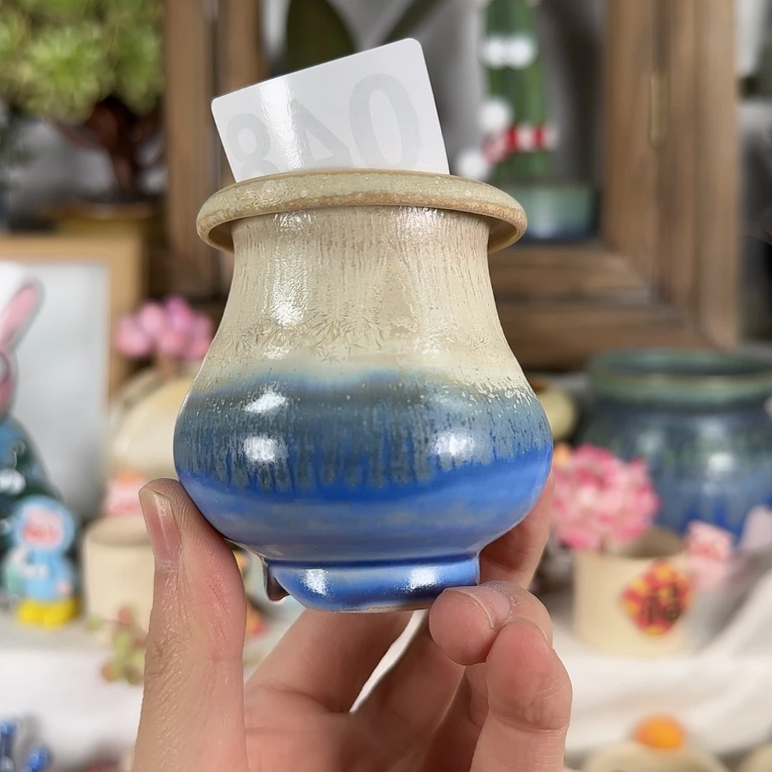048 口5 默认微瑕 花盆