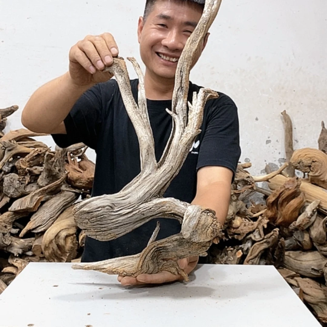 【闪购商品】柏木心**麻我们都是好孩子