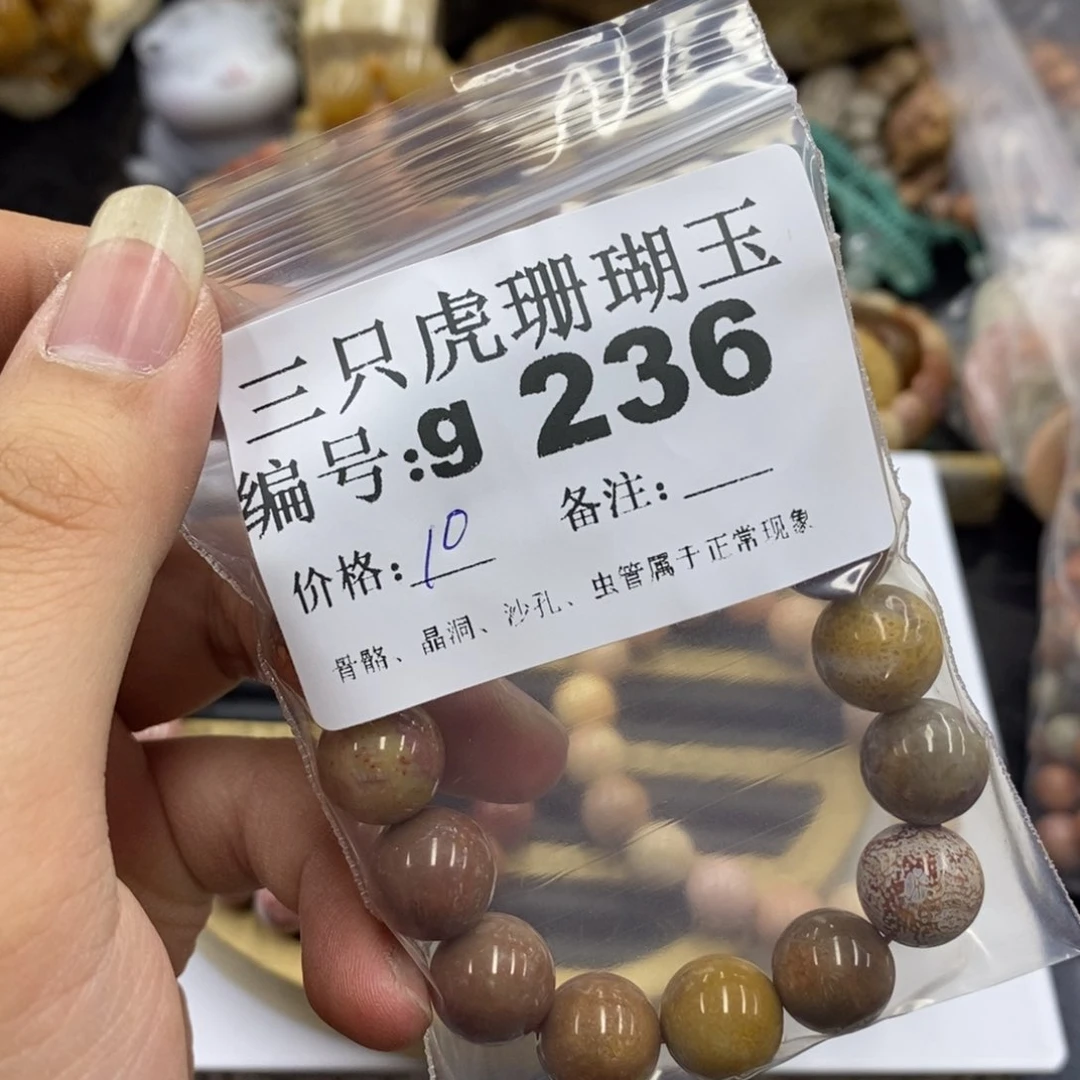 硅化珊瑚（珊瑚玉）未镶嵌1震*