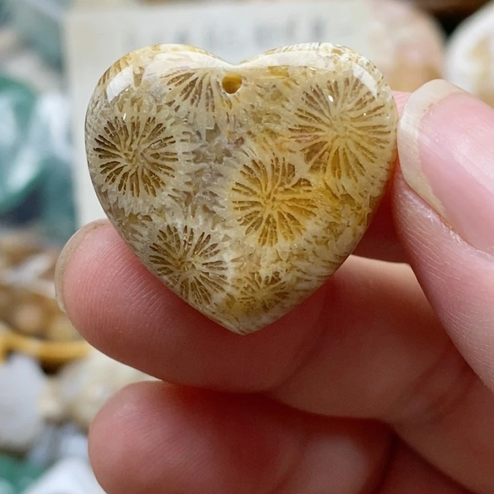 硅化珊瑚（珊瑚玉）未镶嵌颈饰