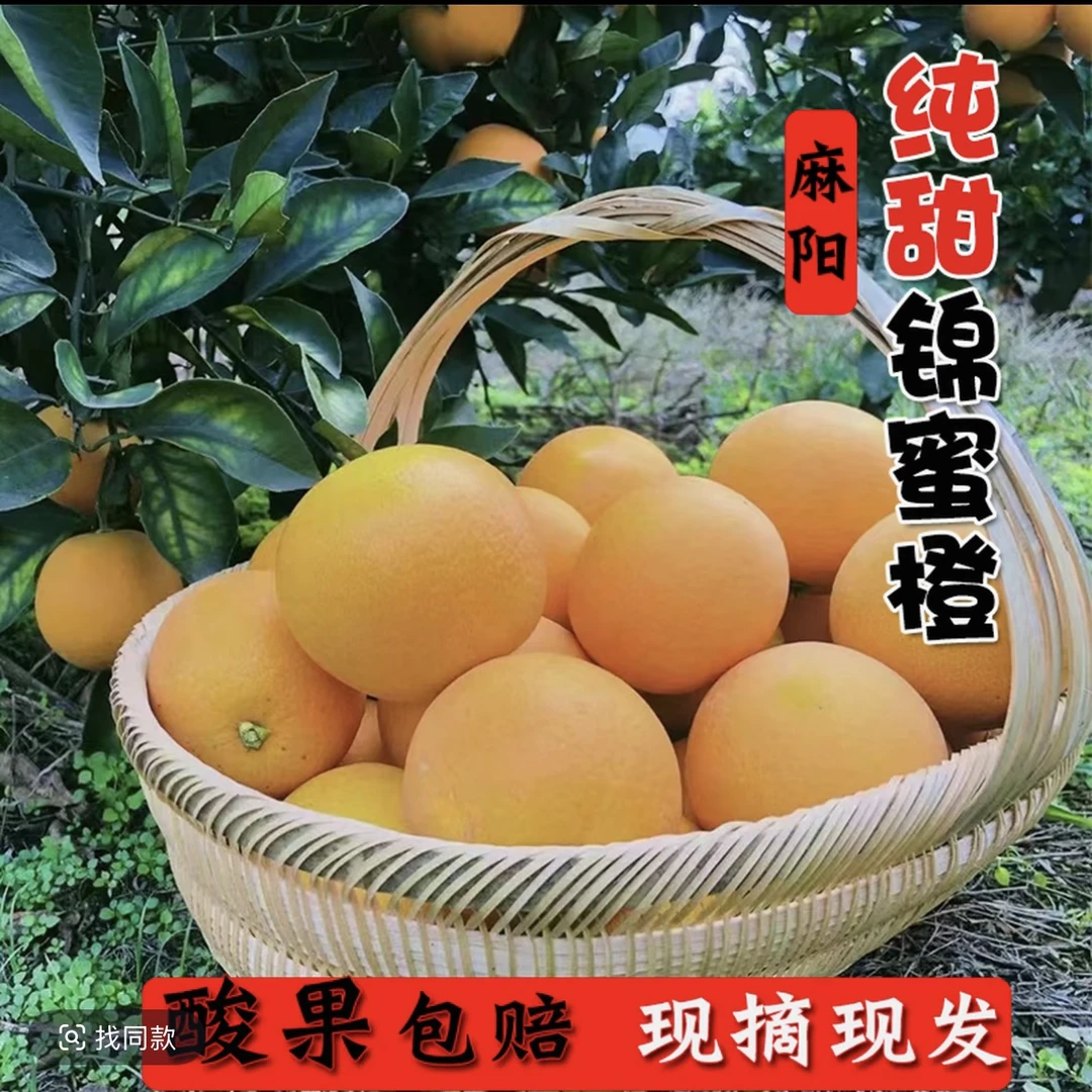 湖南正宗麻阳（纯甜锦蜜冰糖橙）当季新鲜水果当季现发整箱包邮水果