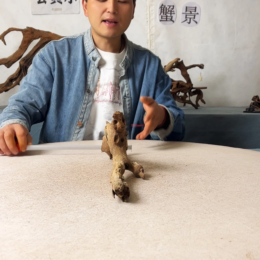 39.14.6 沉木造景爬宠造景