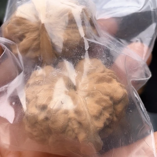 十**剑核桃核桃核桃核桃核桃