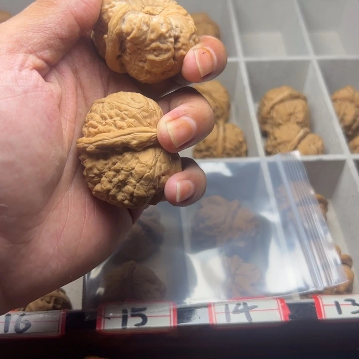 程***峰核桃蛤蟆头文玩核桃
