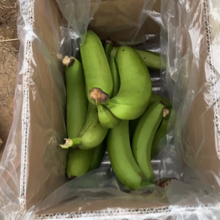 丑蕉丑香蕉，散装5斤