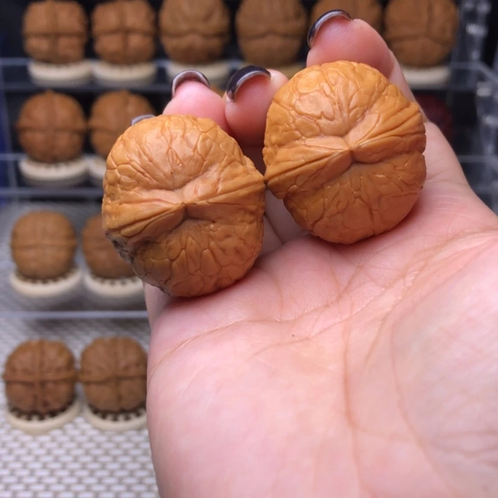 把件文玩核桃5号霸王筋34尺