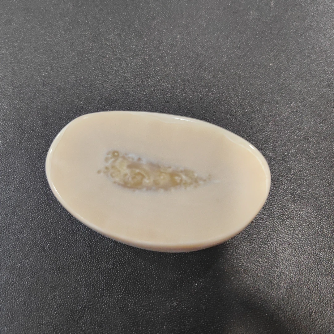 猛犸猛犸虬饼子 WT314