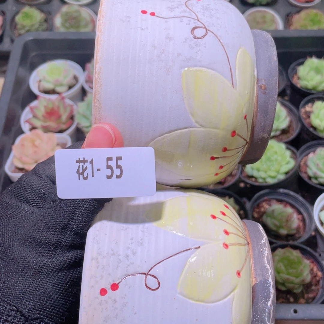 花利美1-55花盆2个