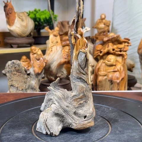 柏木（崖柏）b b h b h j j j j j j