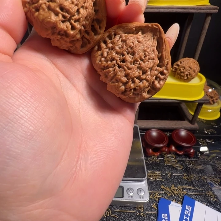 核桃官帽蛇微瑕疵介意慎拍