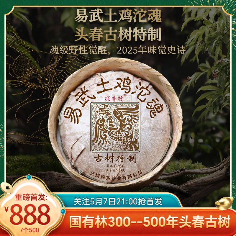 预售首发！探普号2025年易武土鸡沱魂500克/个国有林头春古树生茶