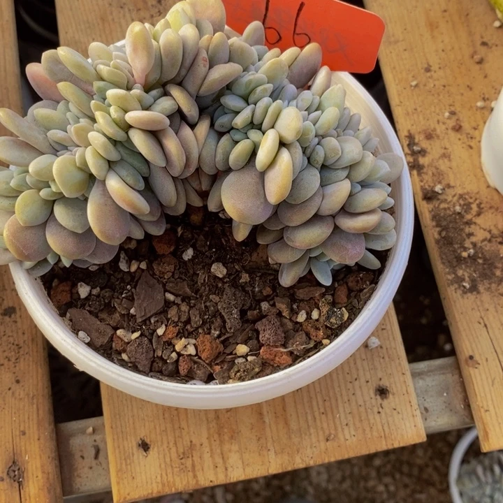 这个我都看出来这一