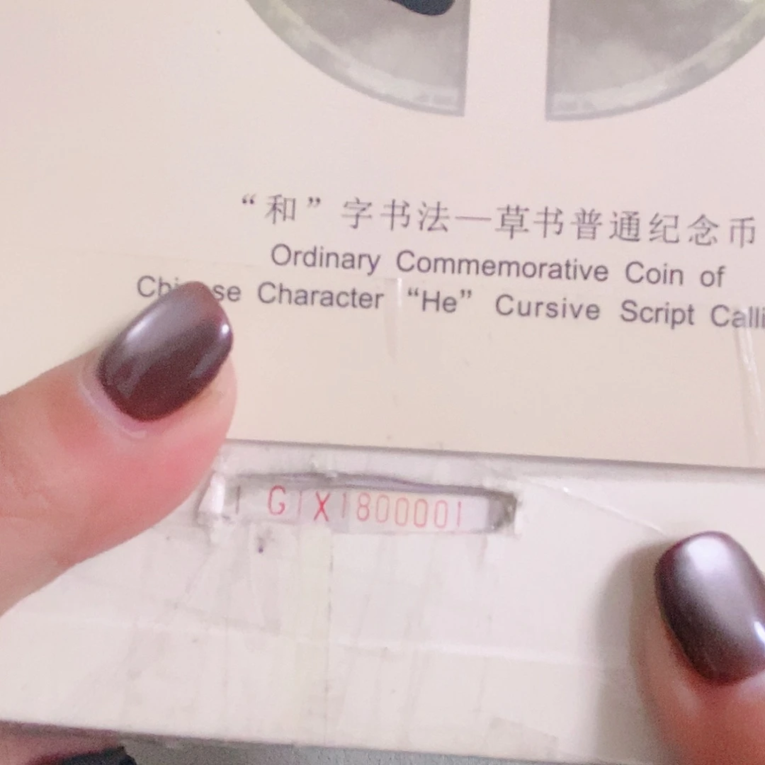 G1X1800001小开门倒置
