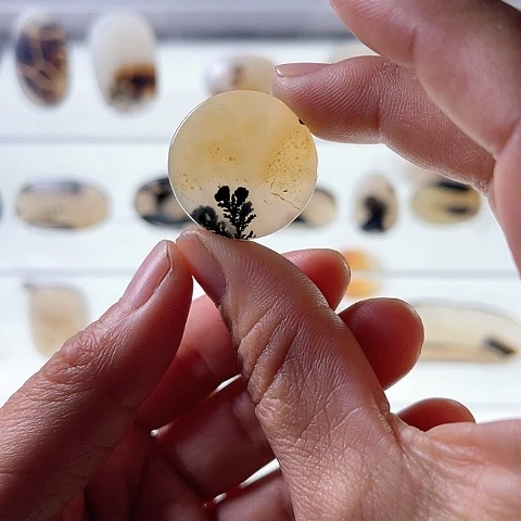 【闪购商品】玛瑙/玉髓珠宝半成品未镶嵌