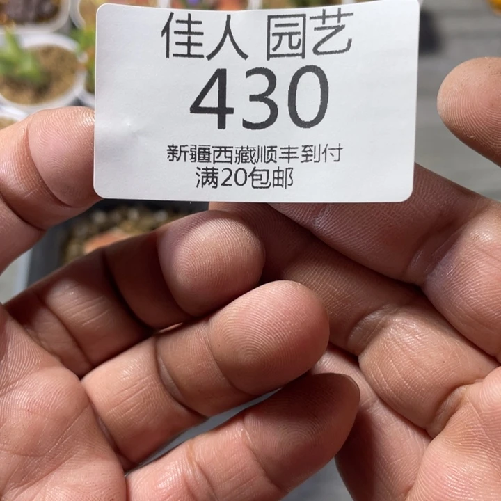 火***吧锅巴蓝色绿色姐姐了430