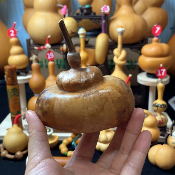 用***6好了我们要在我们学校一起