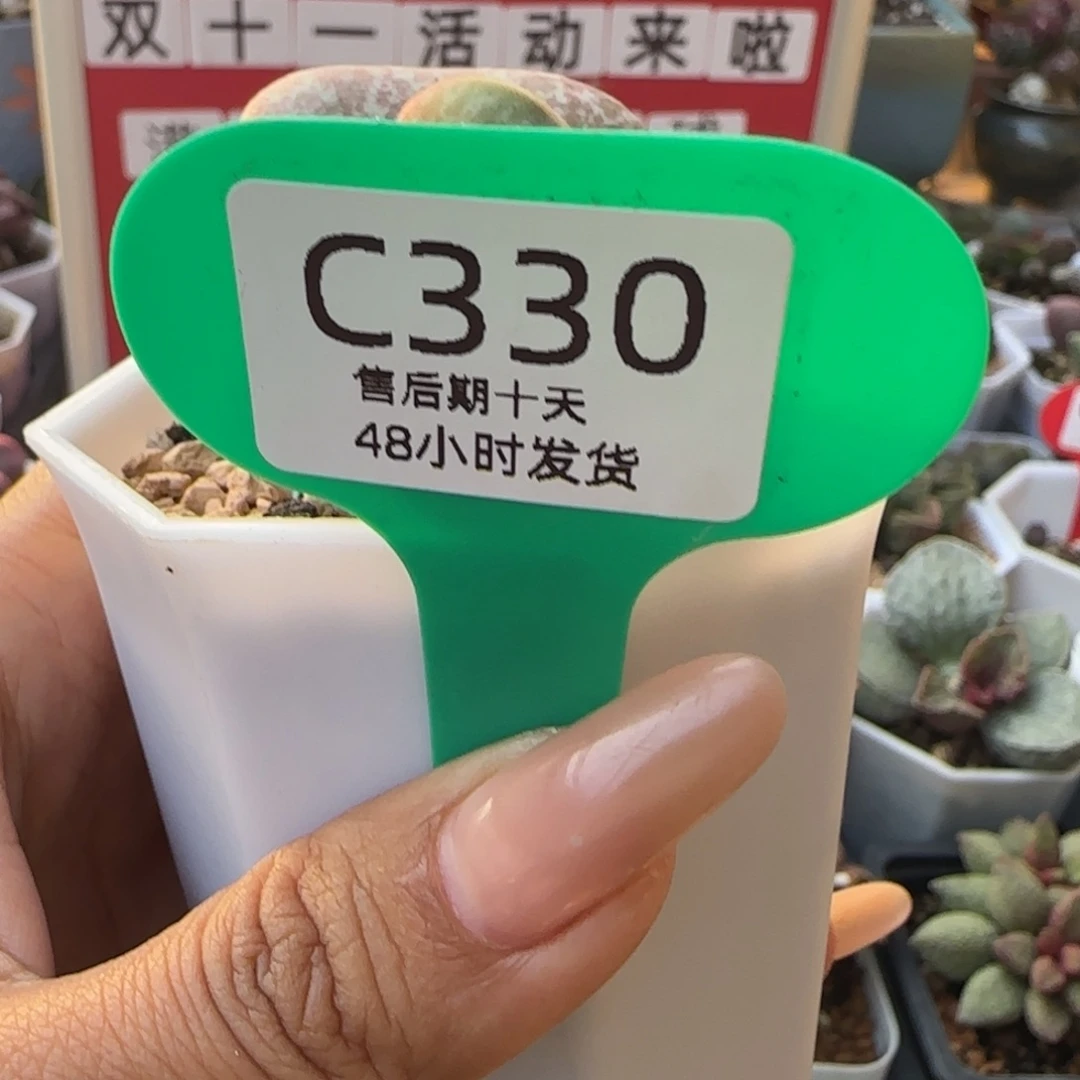 嗯***呐福利。    330。