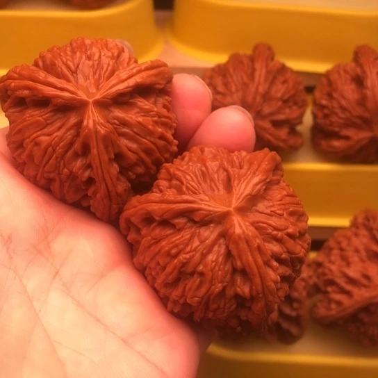 黑***子核桃核桃核桃核桃核桃