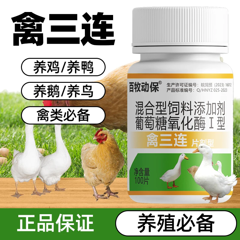 禽一片正品厂家直销鸡鸭鹅禽类养殖鸡鸭鹅通用畜牧添加剂