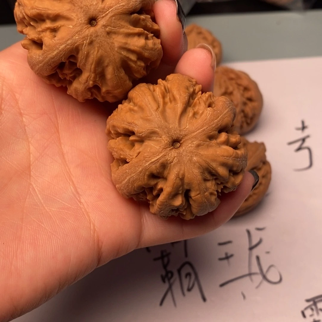 文玩核桃吊坠松****螂霸王龙