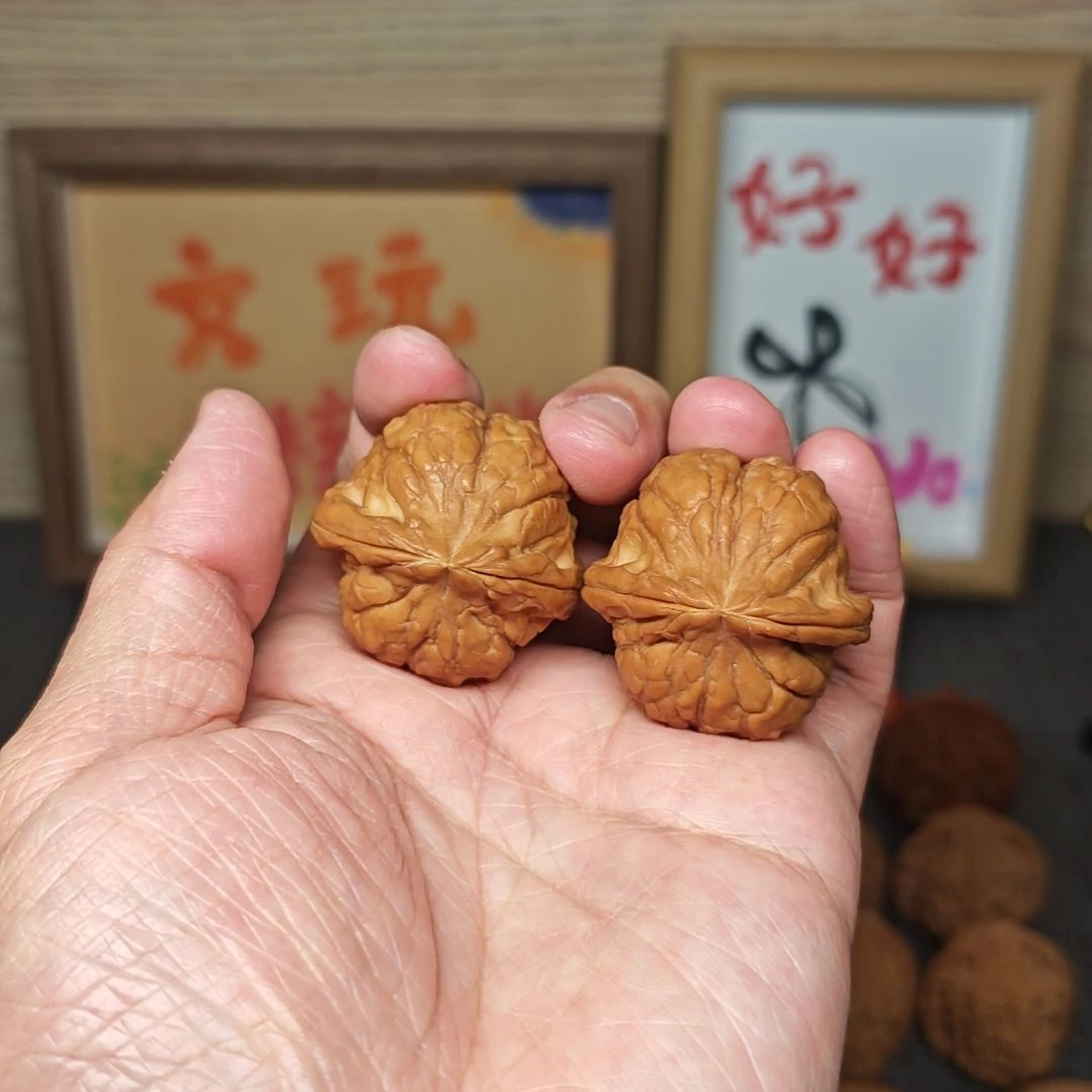 文玩核桃把件36全品龟甲文
