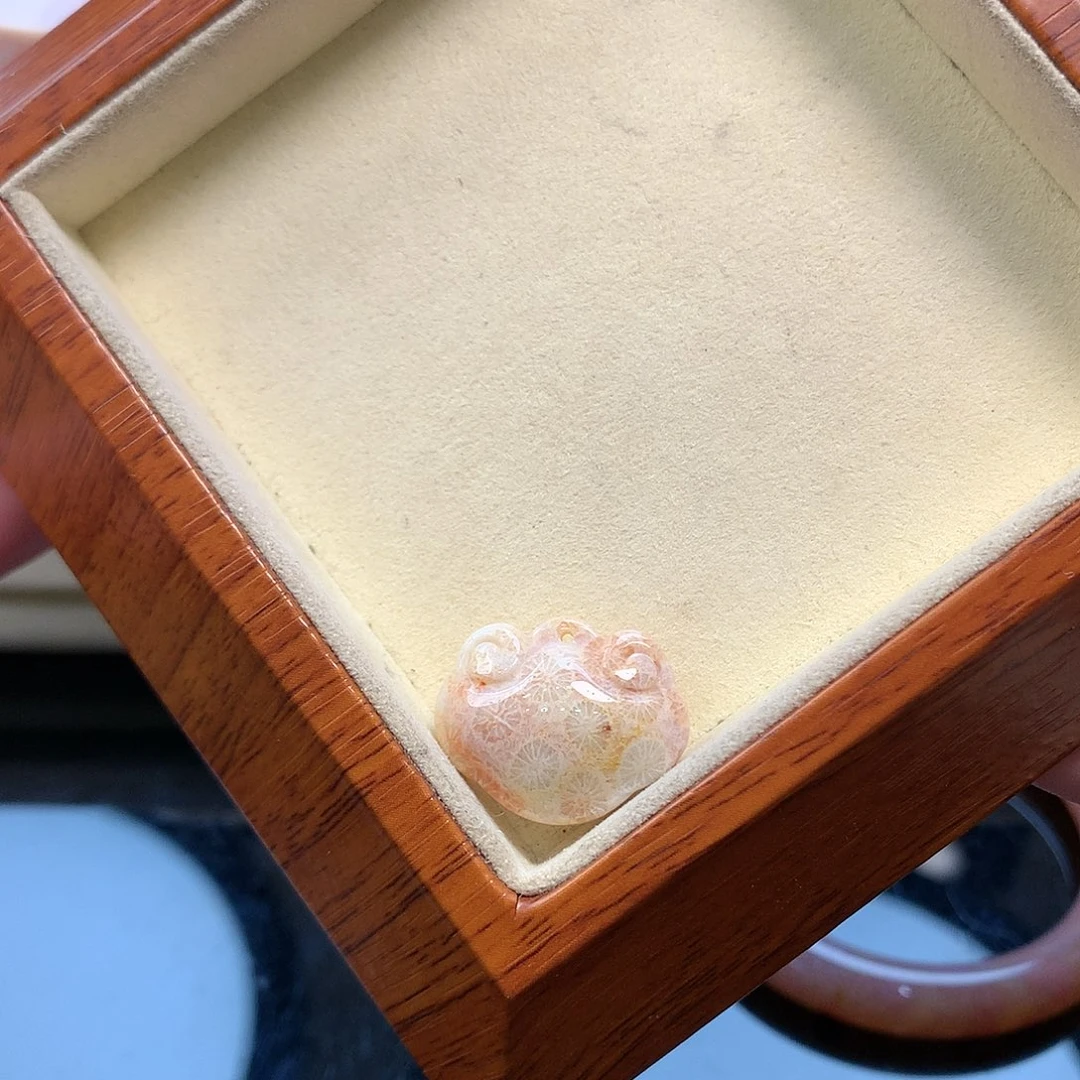 颈饰未镶嵌硅化珊瑚（珊瑚玉）25