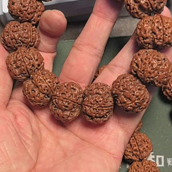 手串金刚菩提五星梅花大金刚手串，24左右，打好底的