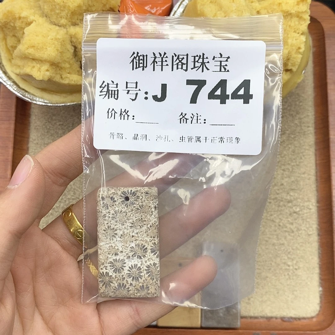 硅化珊瑚（珊瑚玉）珊瑚玉未镶嵌