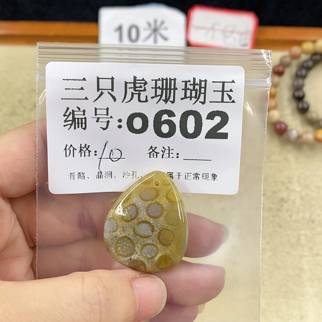 硅化珊瑚（珊瑚玉）1未镶嵌大****者