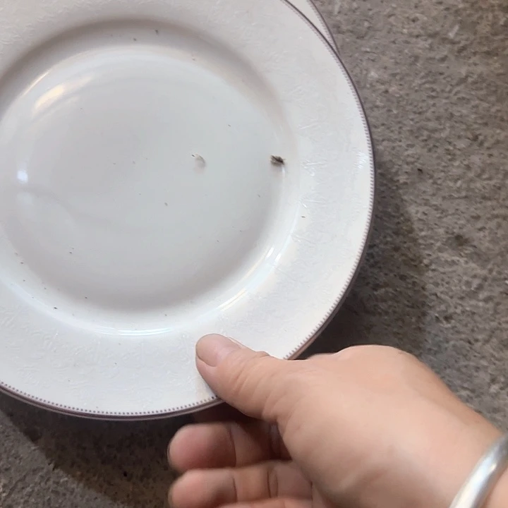 搪瓷微瑕疵4只7.5寸点心盘