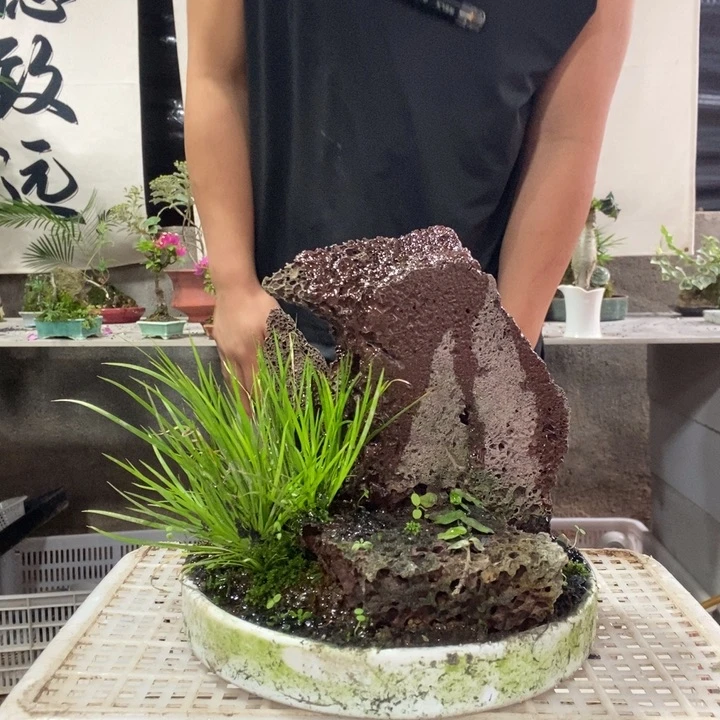 玲****无花朵退款拉黑一物一拍72