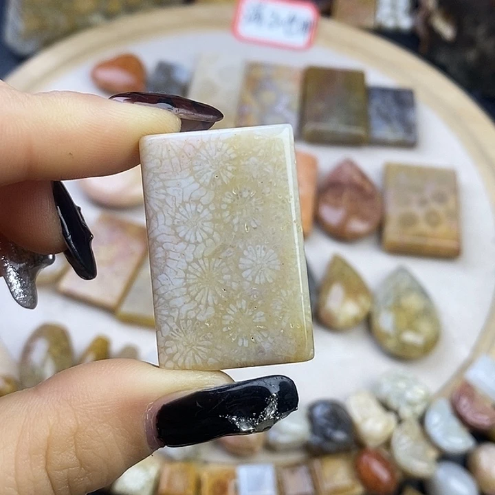 硅化玉未镶嵌颈饰