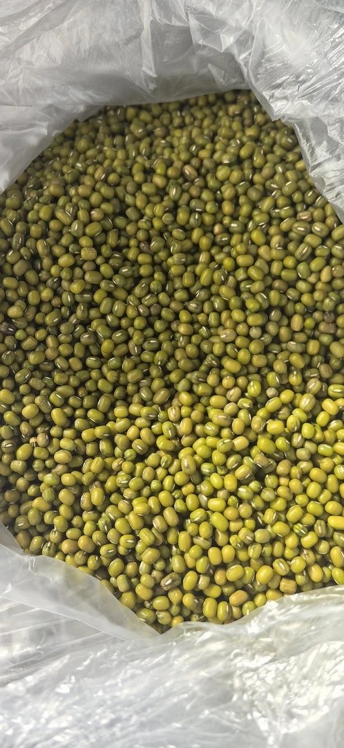 优选农家新鲜饱满绿小豆