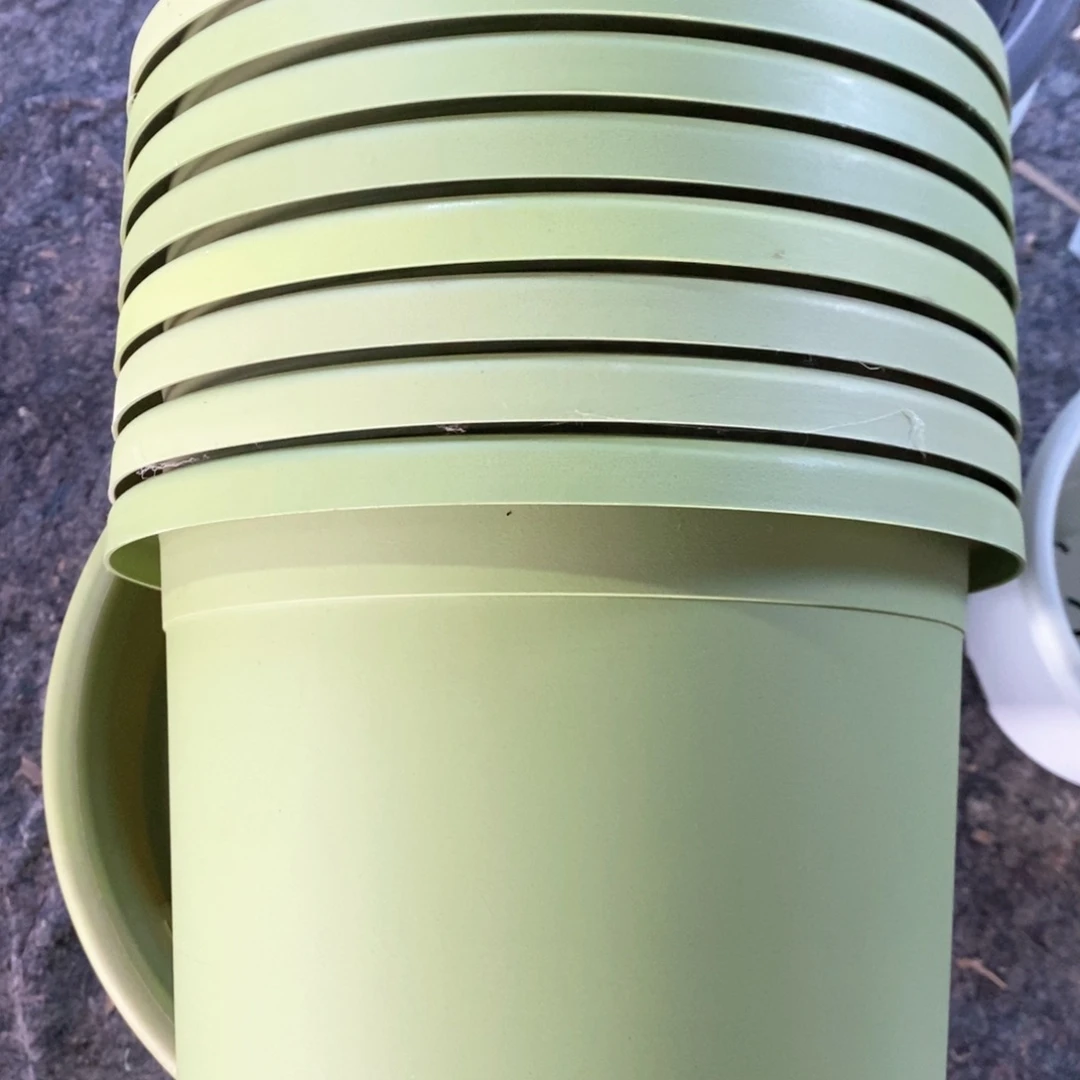 8个29口果绿瑕疵无托伊特（29×25）