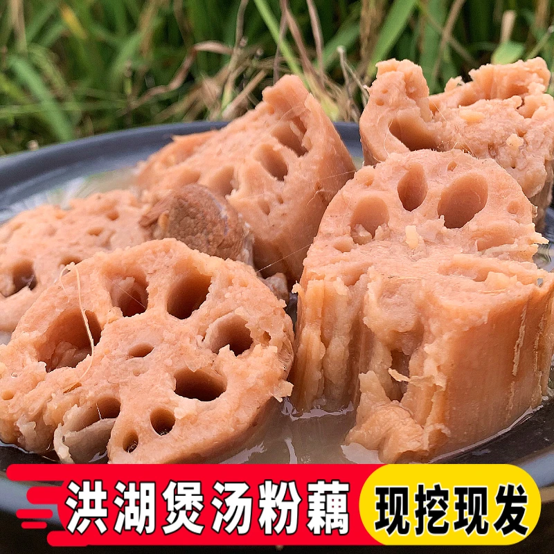 洪湖粉藕莲藕新鲜现挖湖北农家特产煲汤粉藕糯米炖汤藕