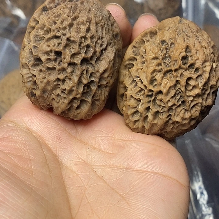 把件文玩核桃云南铁核桃65