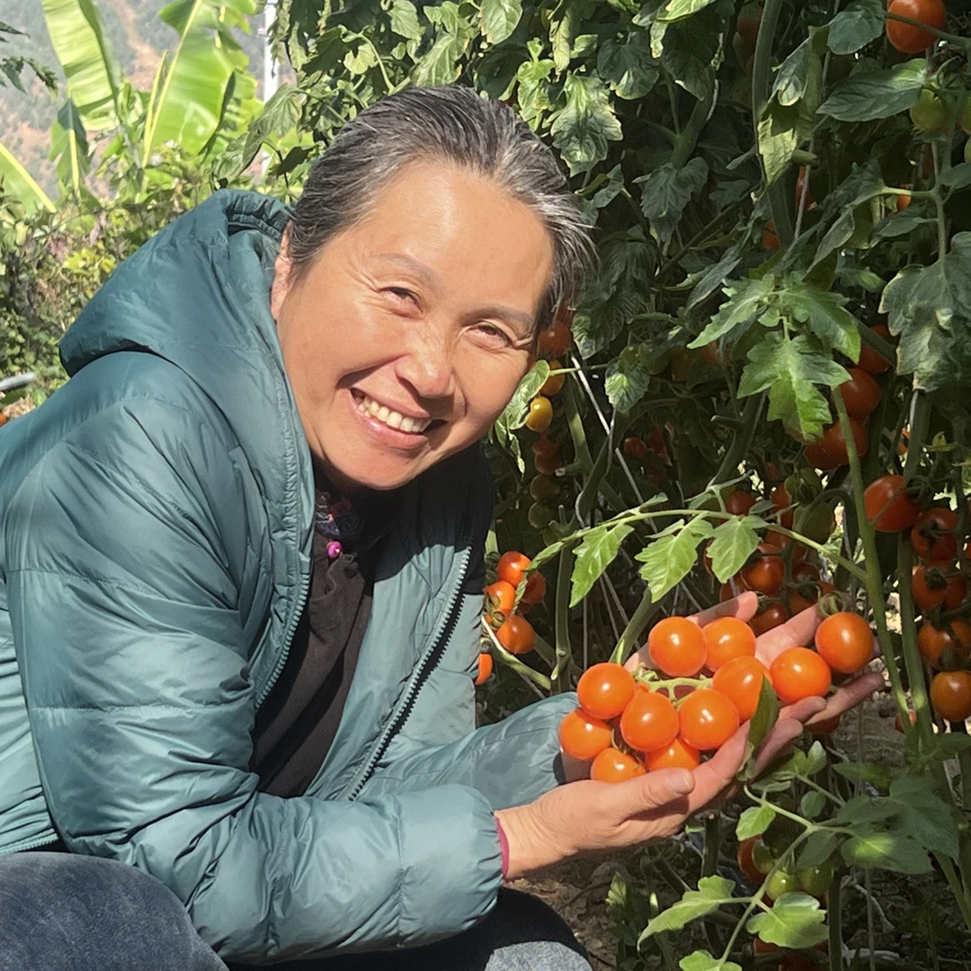 【顺丰】攀枝花橙色玫瑰水果小番茄净重5斤