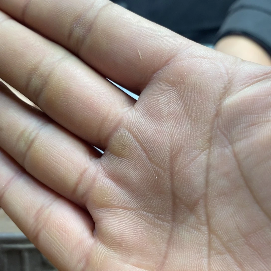 紫砂茶杯生****驴原矿礼物随机赠送