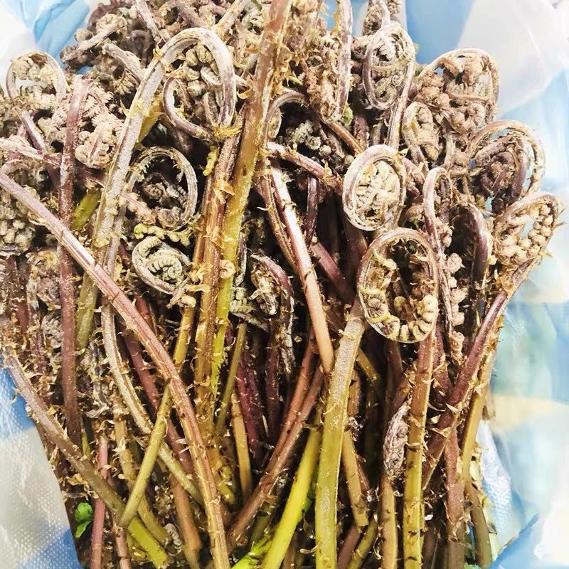 猴腿干初级农产品