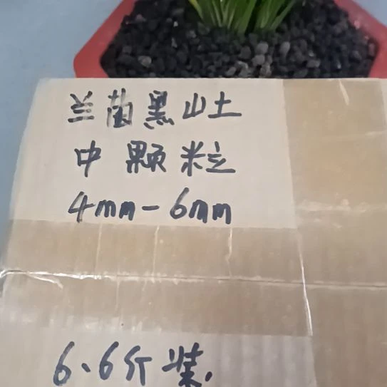 吉***缘兰菌黑山土中颗粒土6.6斤