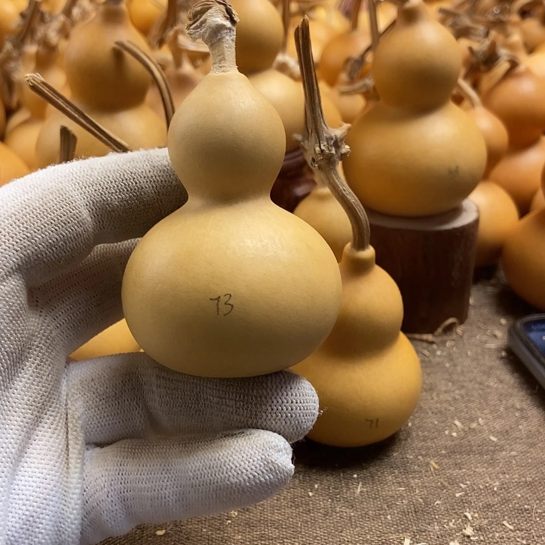 文玩葫芦 完美主义者 慎拍72