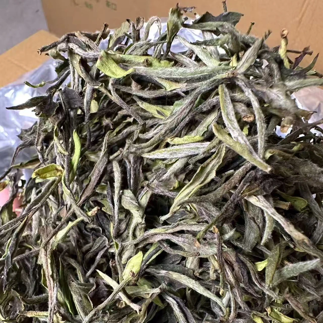 2025政和水仙白牡丹，花香香气十足、茶汤顺滑、鲜爽清甜