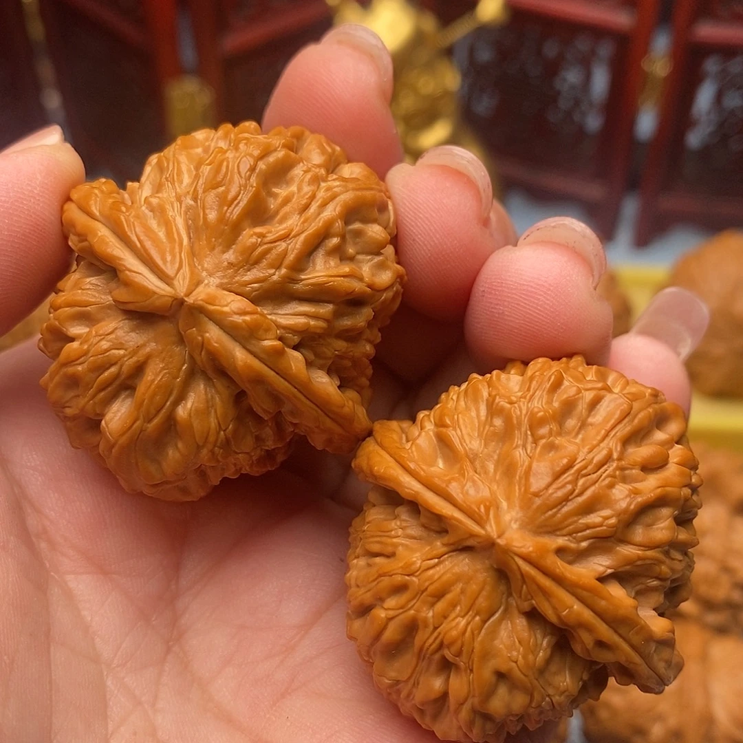 文玩核桃把件38全品毕业白狮子