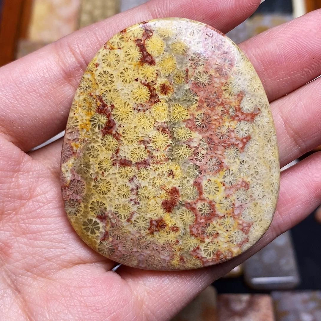 硅化玉珠宝奇石合金十****)