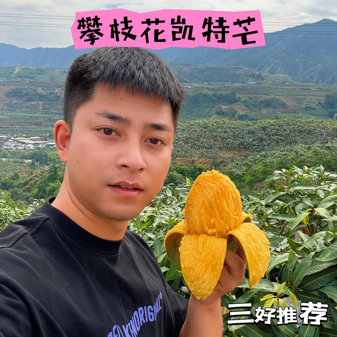 三好推荐-攀枝花凯特大芒果皮薄肉厚（催熟放软食用）