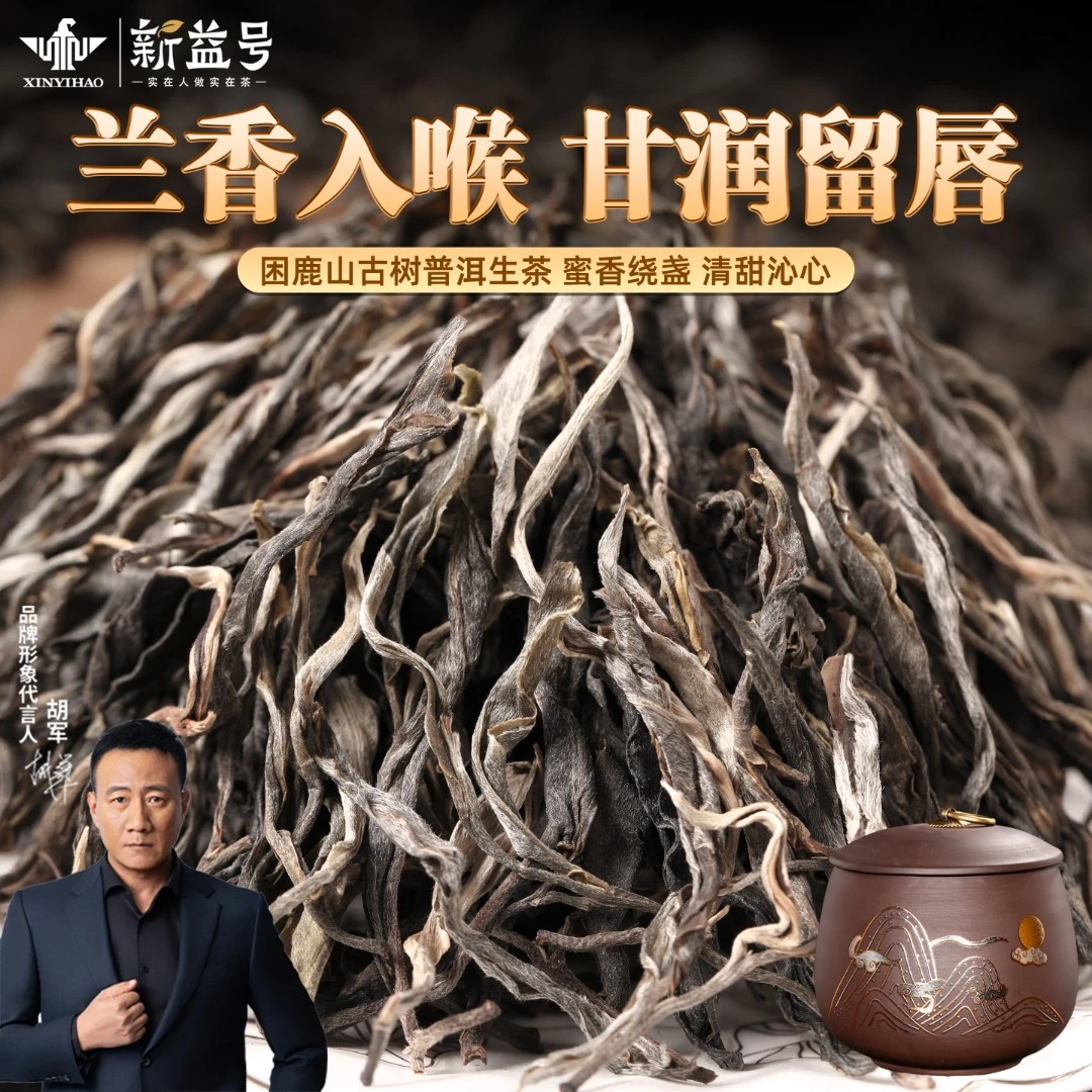 【年终狂欢】新益号2024新茶困鹿山单株生茶普洱散茶旗舰店罐装送礼