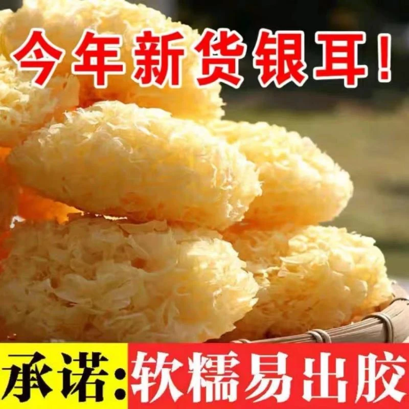 福建古田大花银耳每朵独立包装1朵/10朵