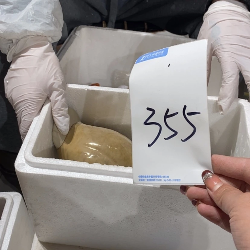 【闪购商品】摆件啵*鱼陶瓷摆件瑕疵特卖