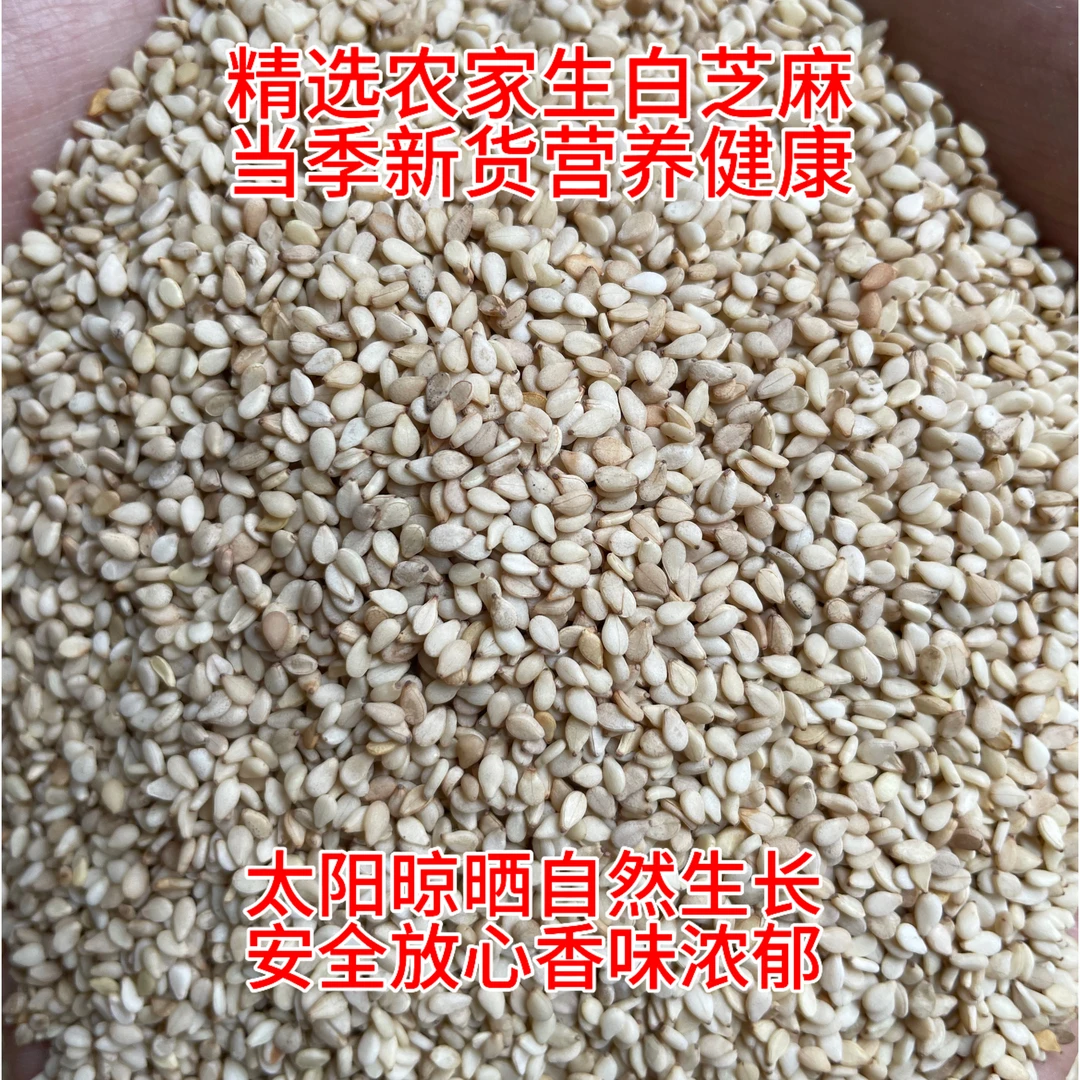 生白芝麻农家小块地深山种植自然生长太阳晾晒1斤不染色非转基因